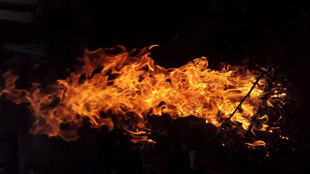 Photo #4583986