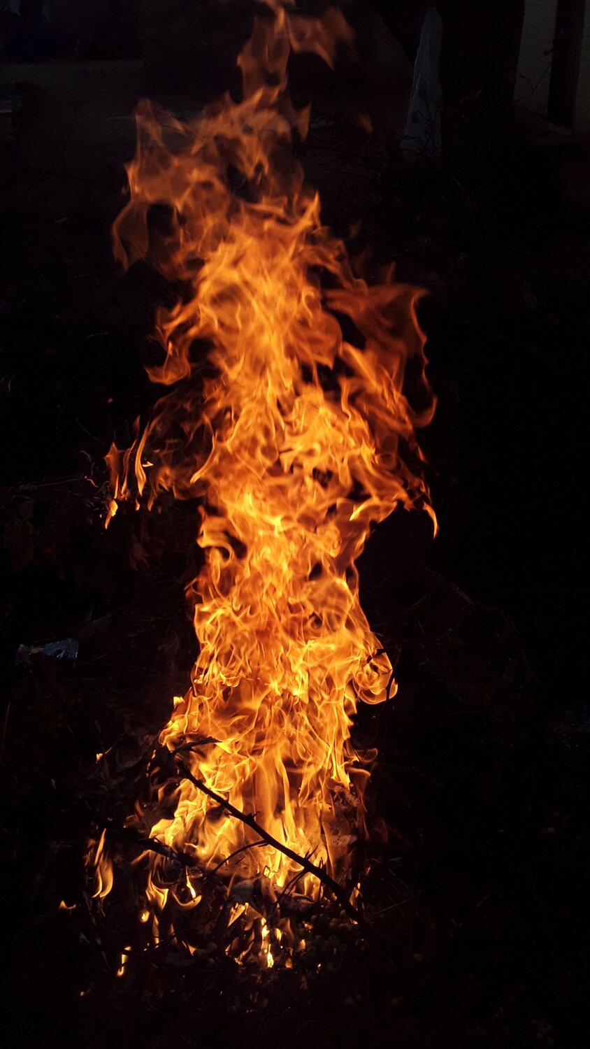 Photo #4583986