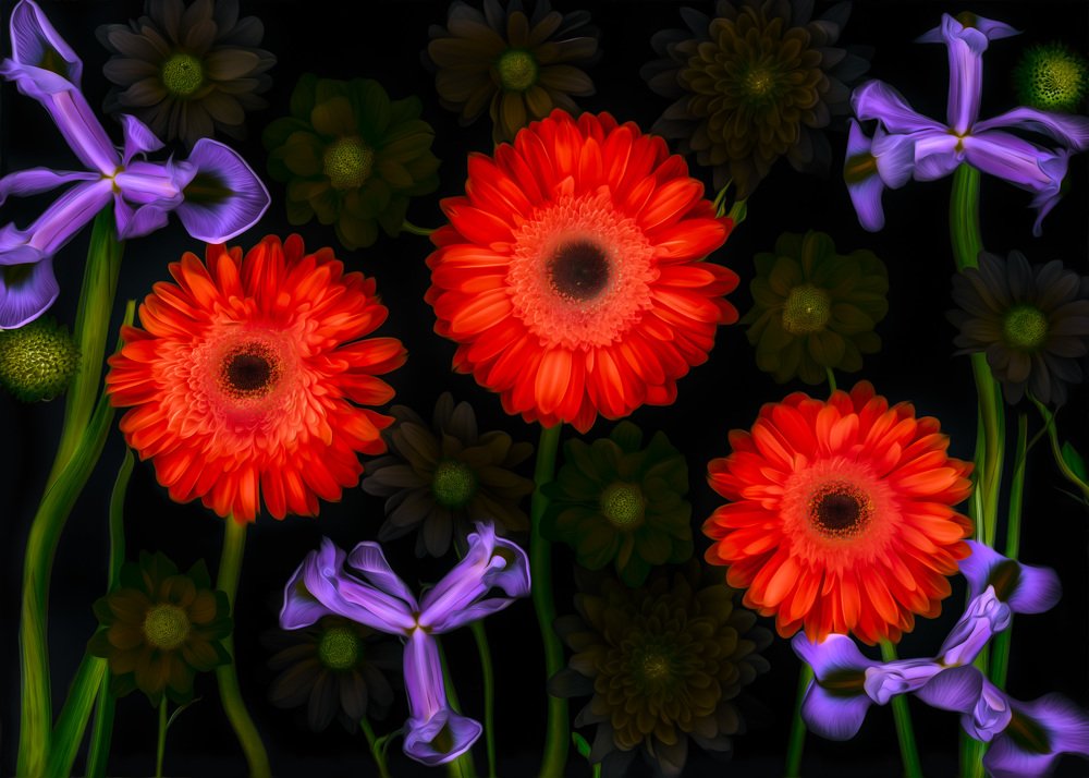 Фотография автора Ross McGree