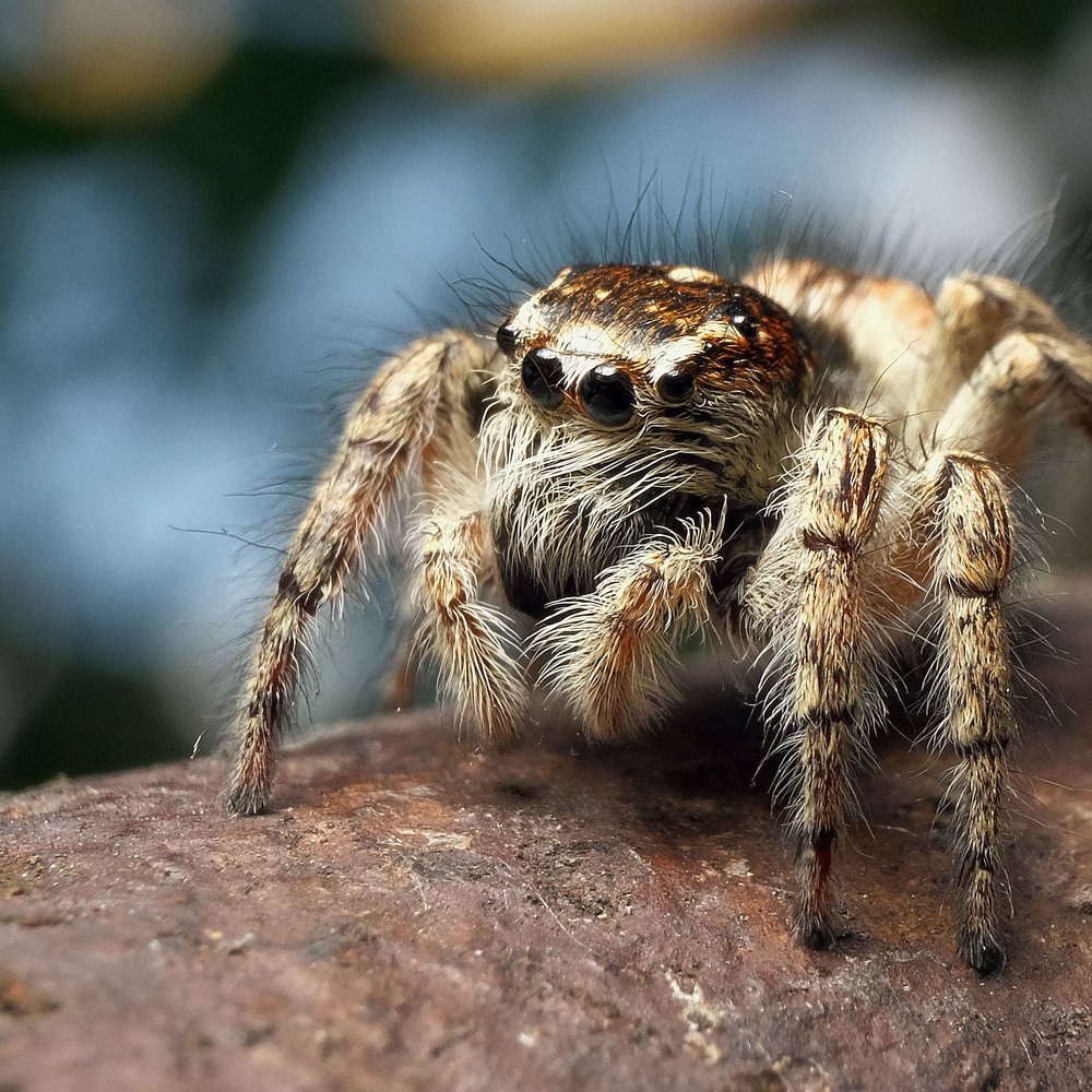 Photograph by Юрьевич Юрий