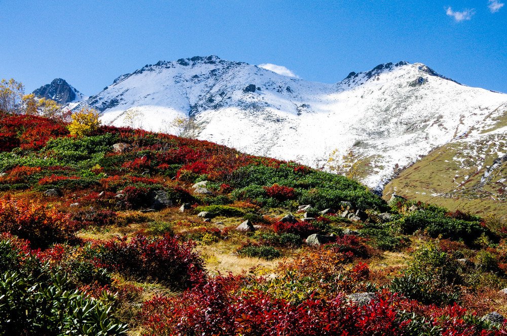 Photograph by Hasan GUNES