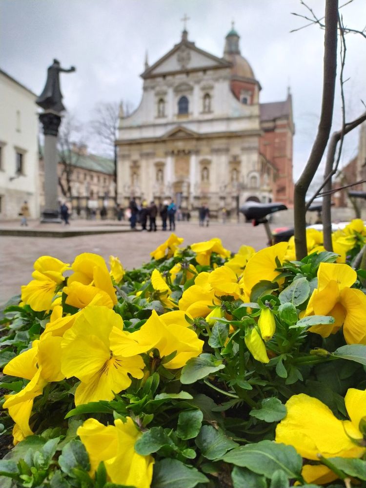 Photograph by Алла Билевская