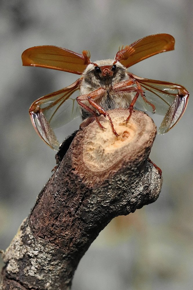 Photograph by Игорь Осипов