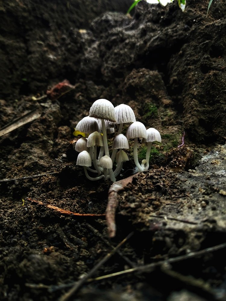 Natur's beauty