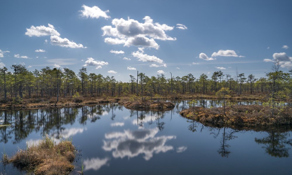 Photograph by Susanna Kari