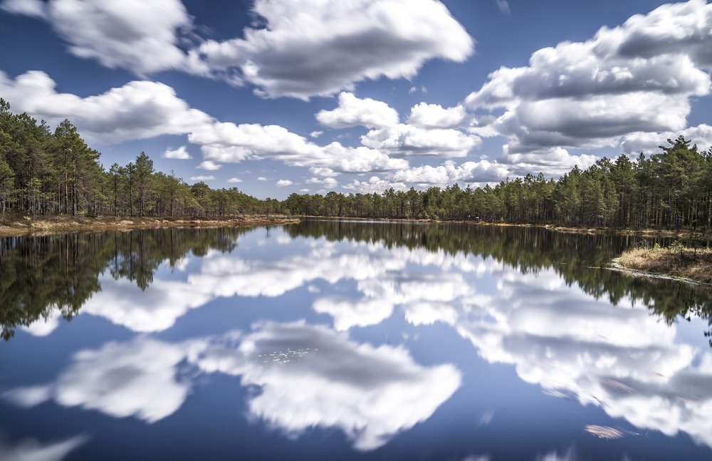 Photograph by Susanna Kari