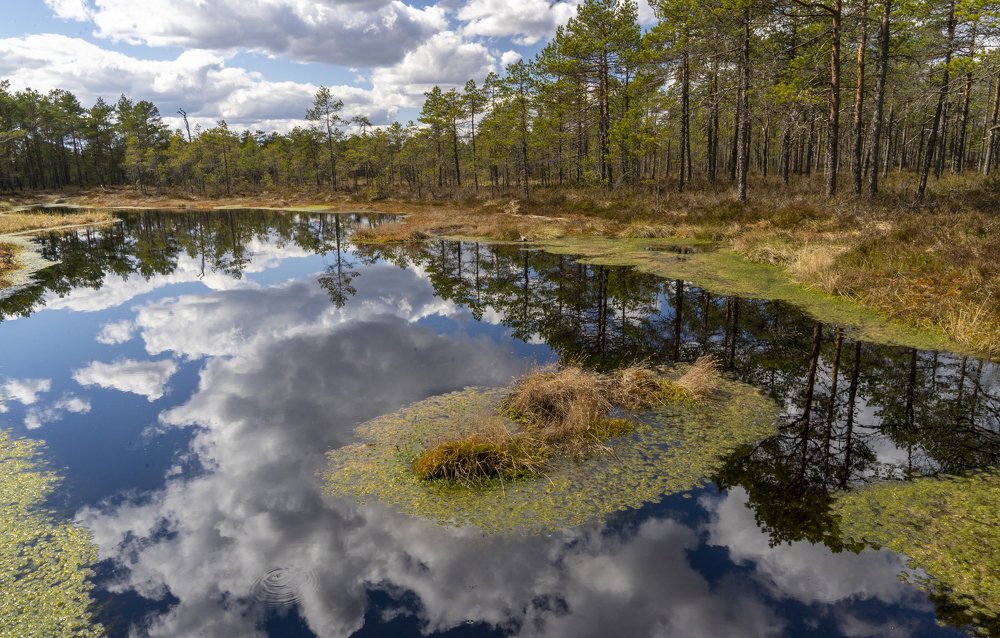 Photograph by Susanna Kari