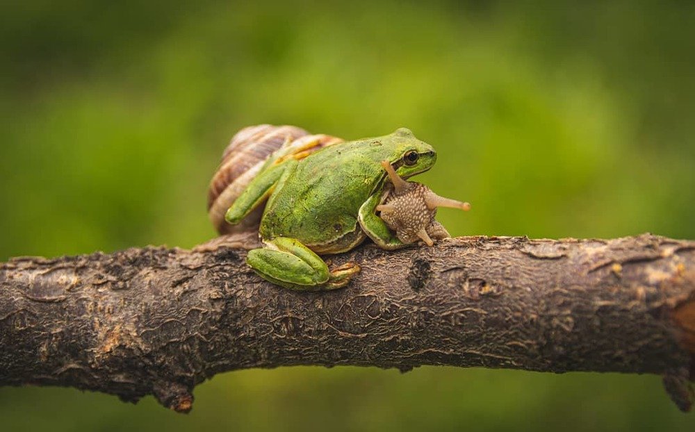 Photograph by Мгер Аршакян