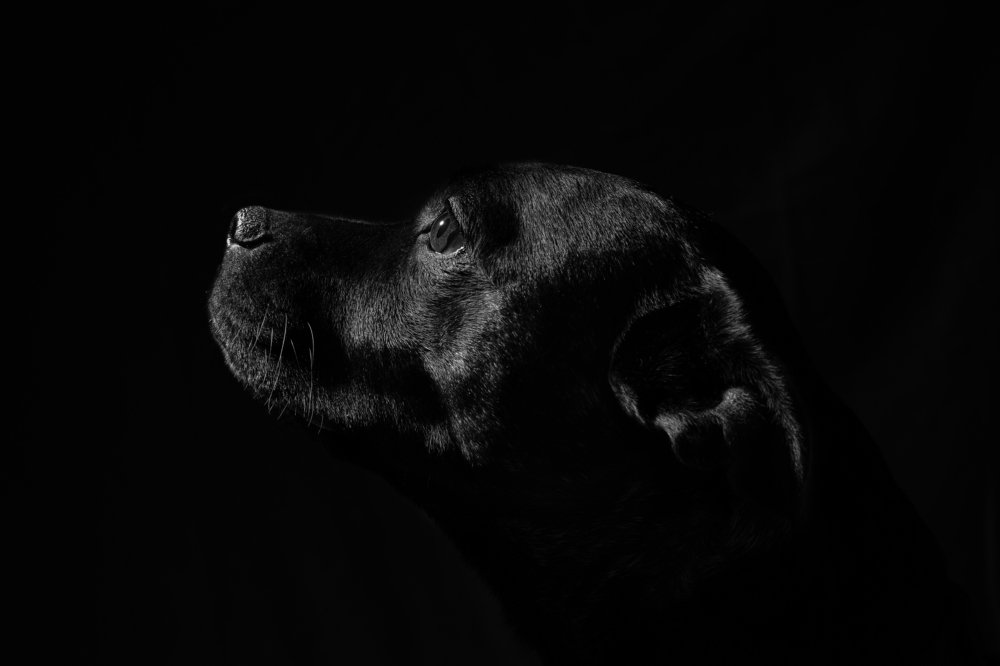 Фотография автора Christina Draper