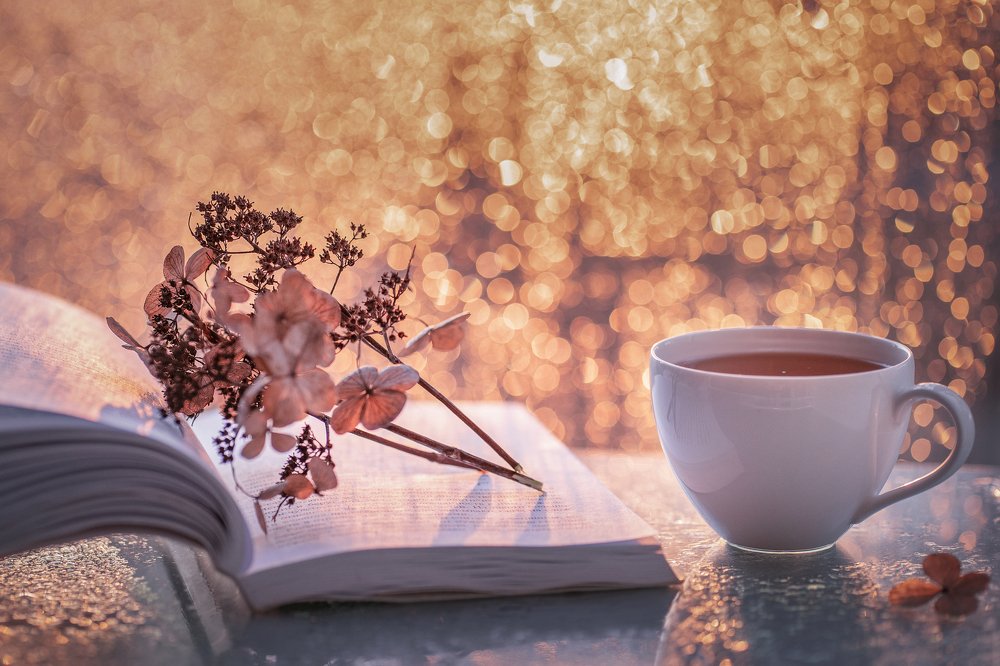 Photograph by Екатерина Гусева