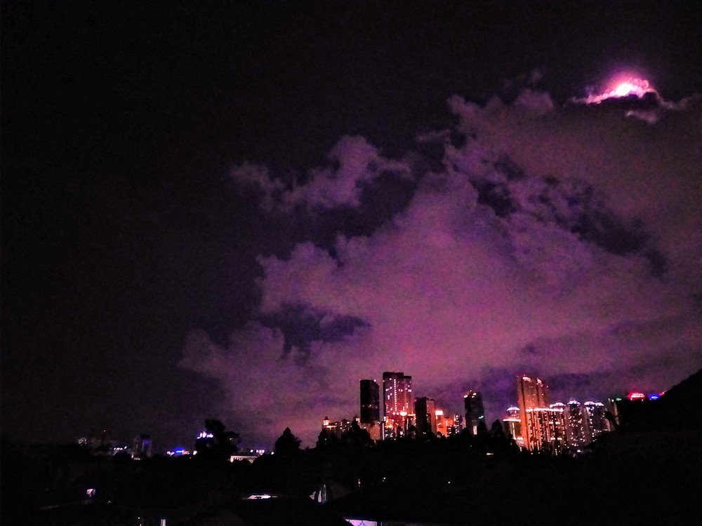 Photo #4584603