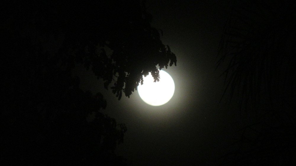 Photograph by ANA DELGADO