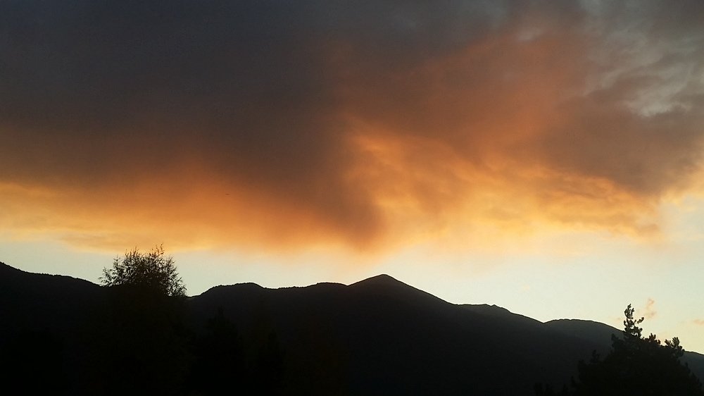 Photo #4584649
