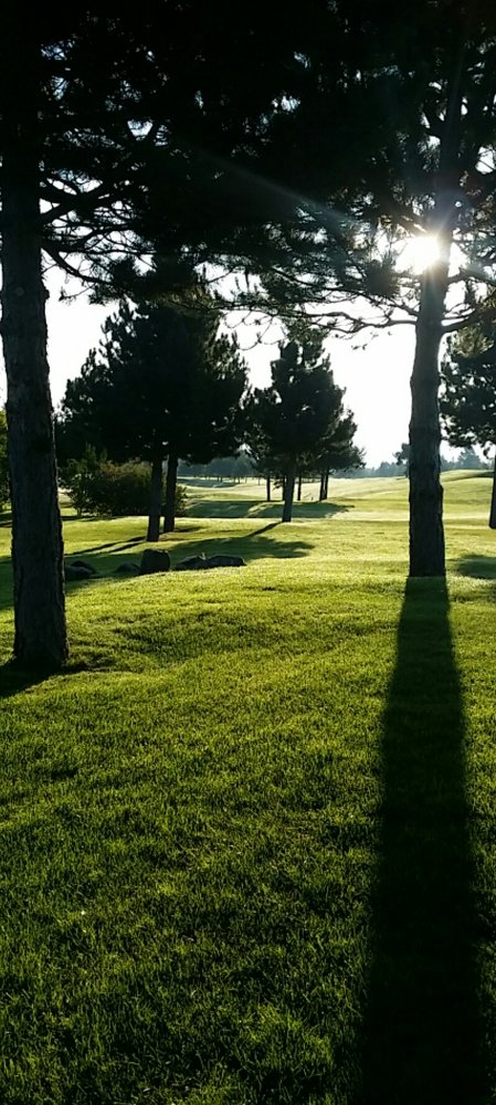 Photo #4584650