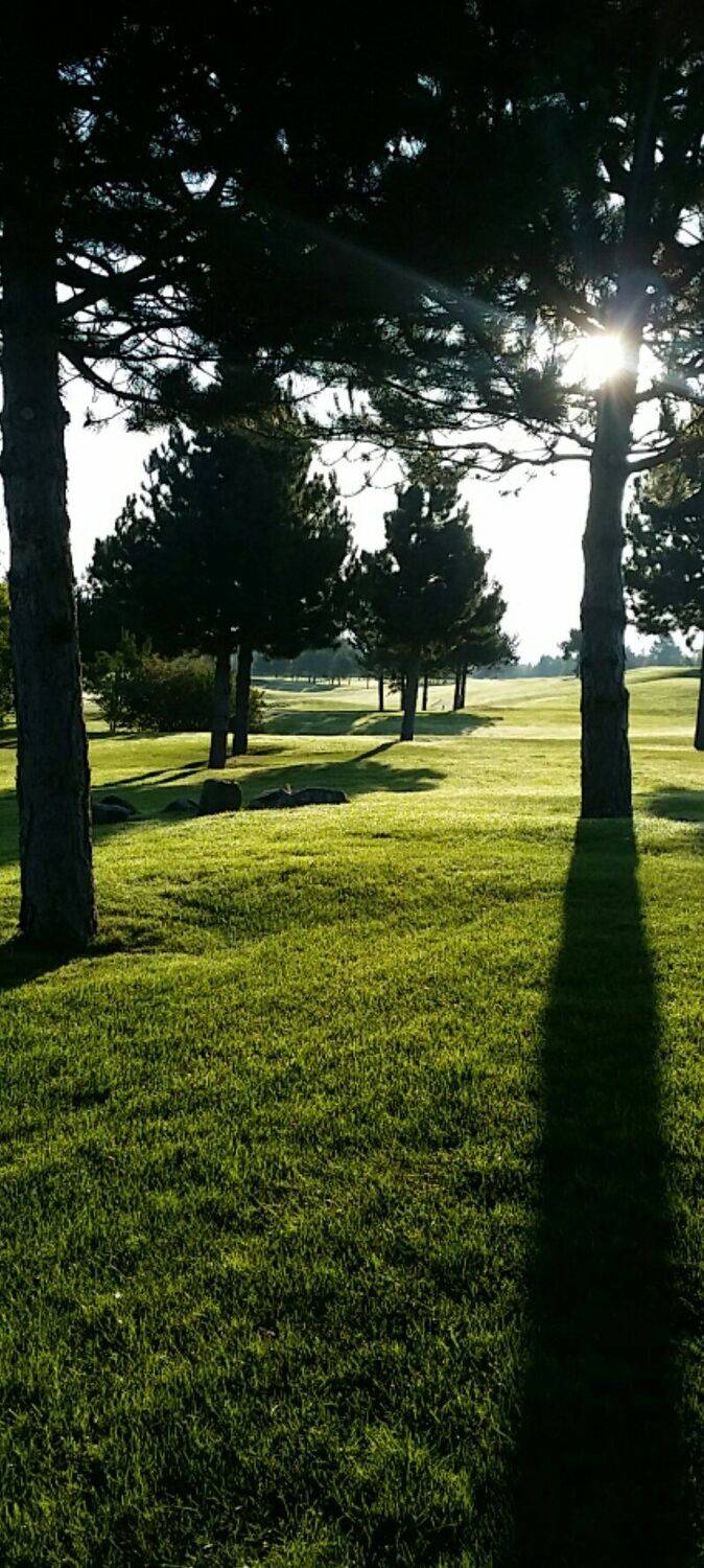 Photo #4584650