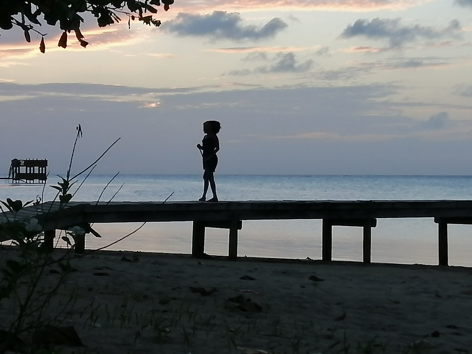 Photo #4584667
