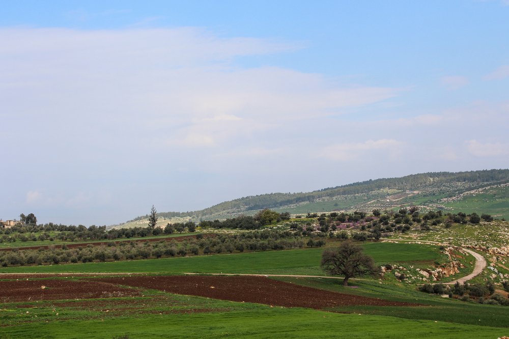 Photograph by Muntaha