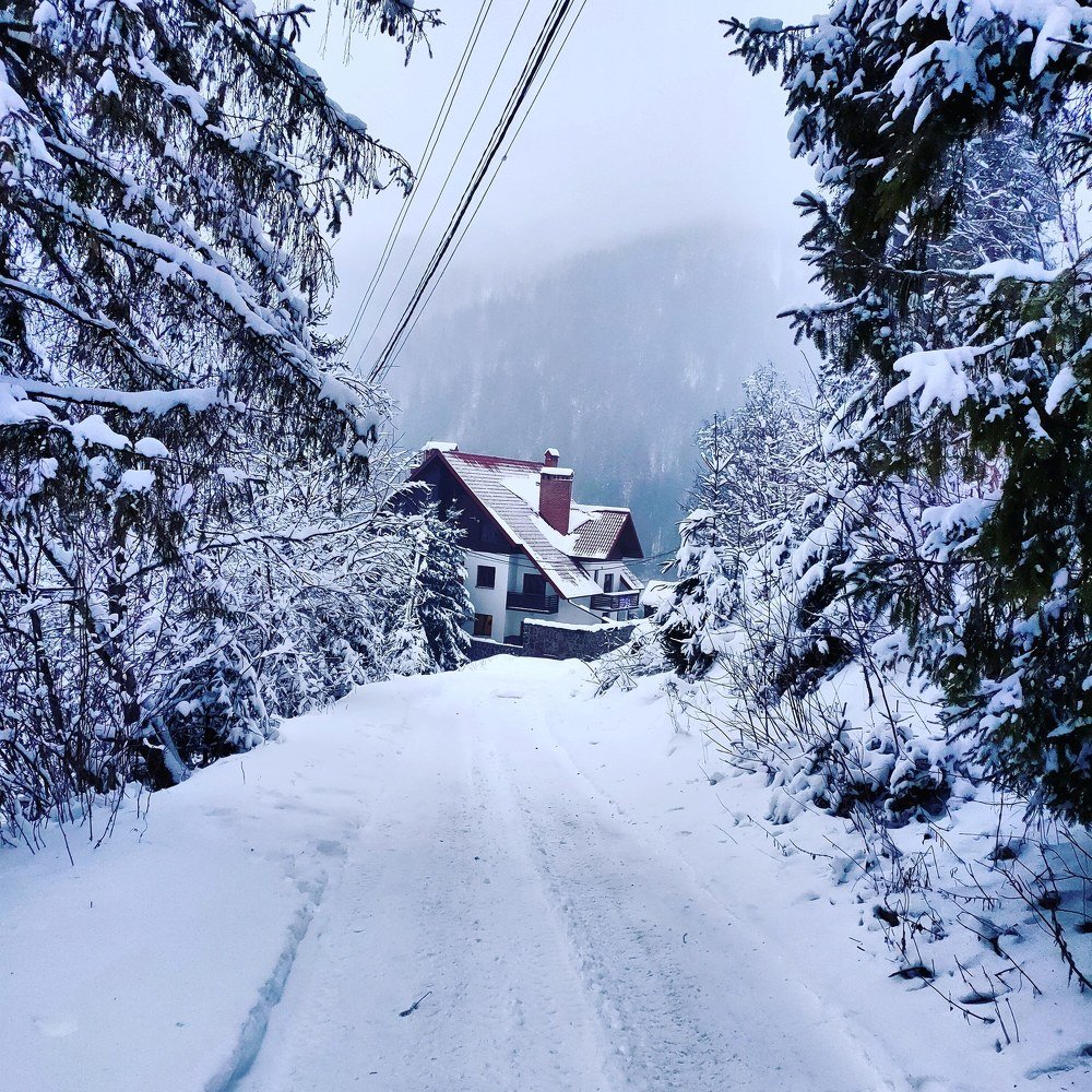 Photograph by Алла Билевская
