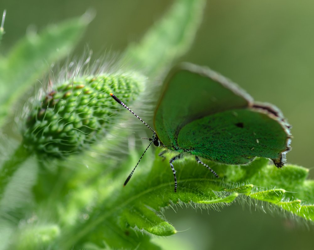 Фотография автора Константин Яковлев