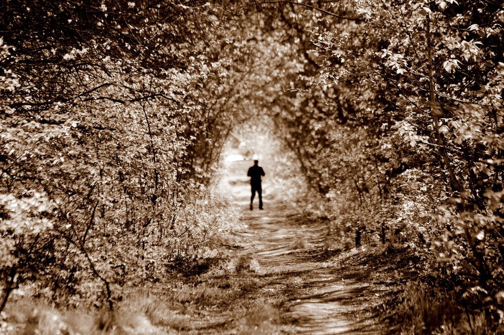 Photograph by Жанна Валиева