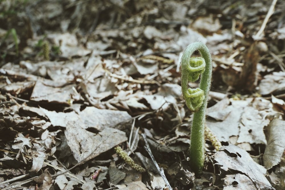 Фотография автора Иван Вдовин