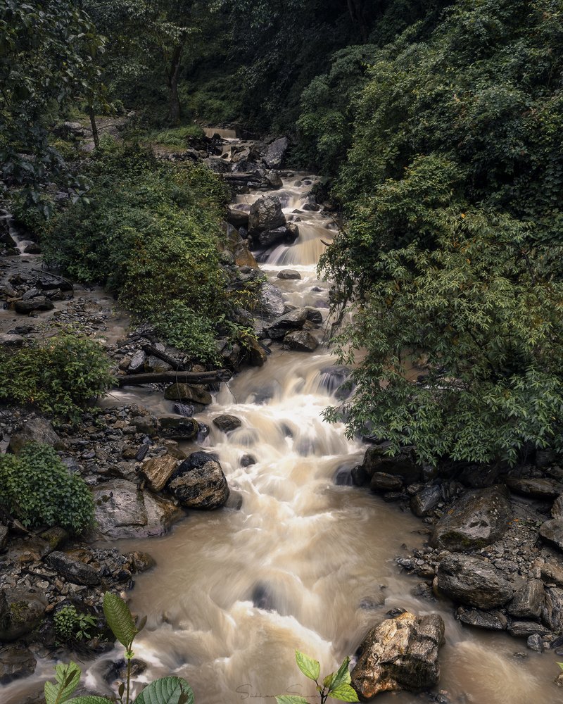 Photograph by Subham Shome