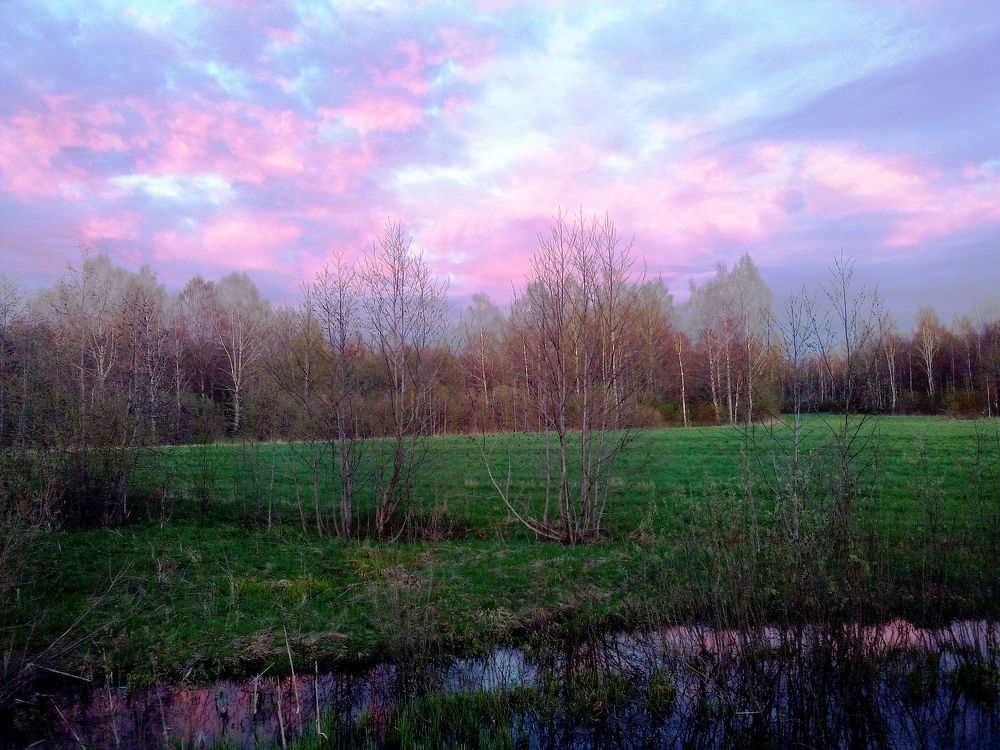 Photograph by Валентина Смирнова