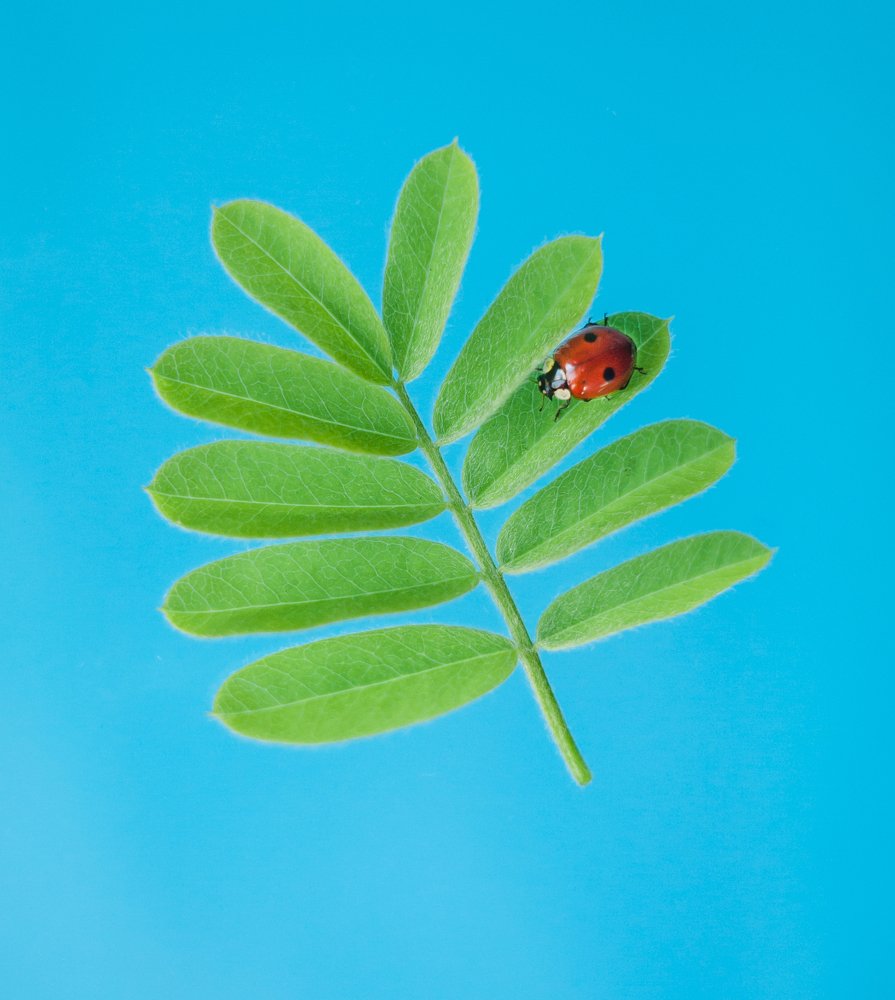 Привет, весна