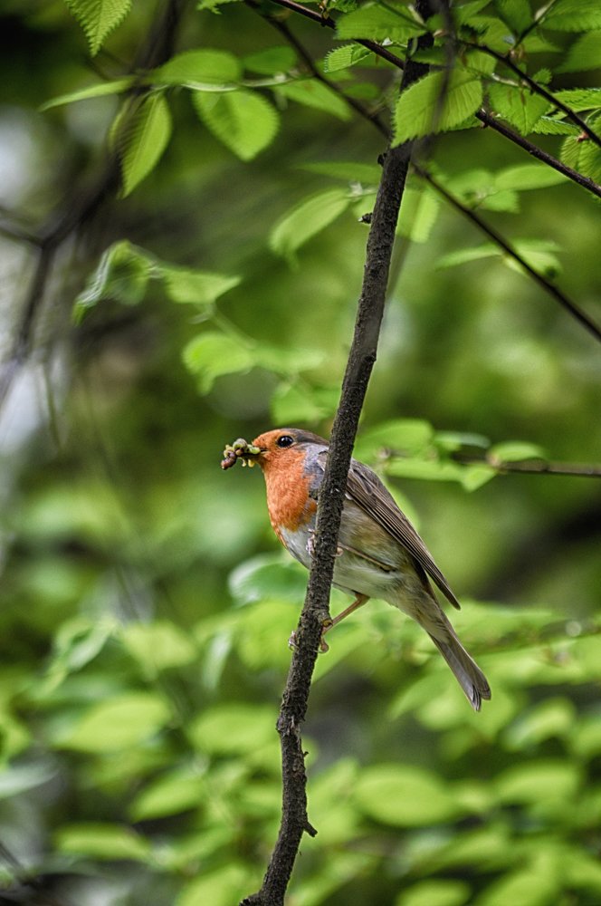 Photograph by Teodora Sarbinska