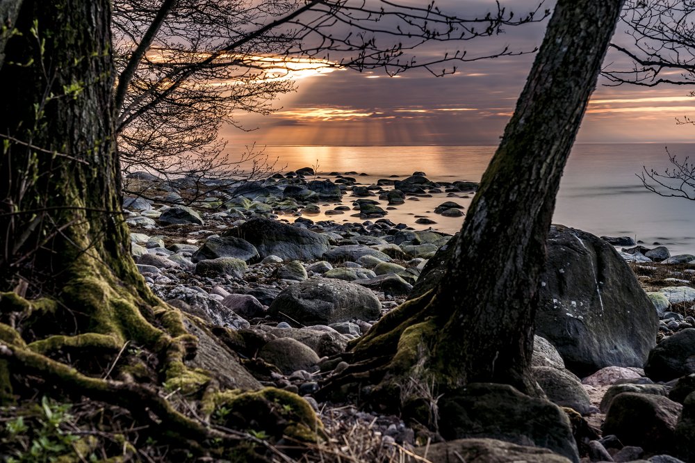 Photograph by Susanna Kari