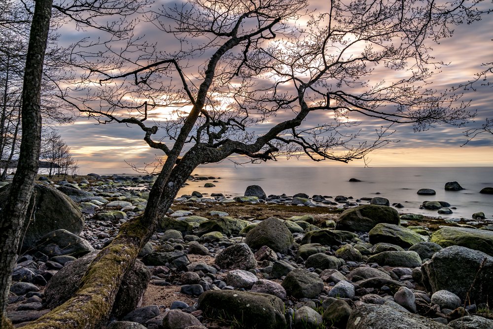 Photograph by Susanna Kari