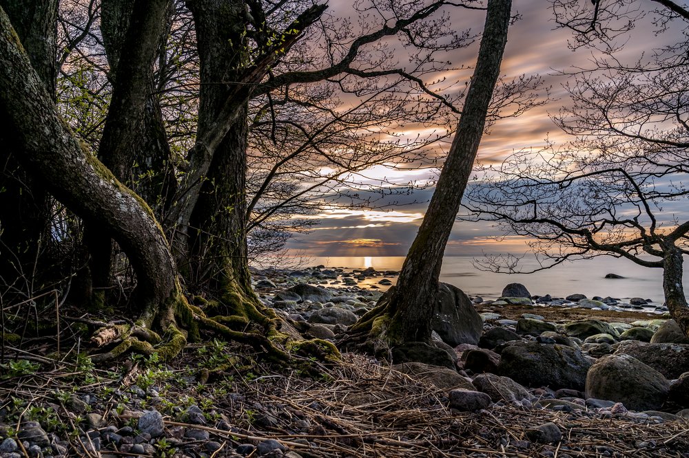 Photograph by Susanna Kari