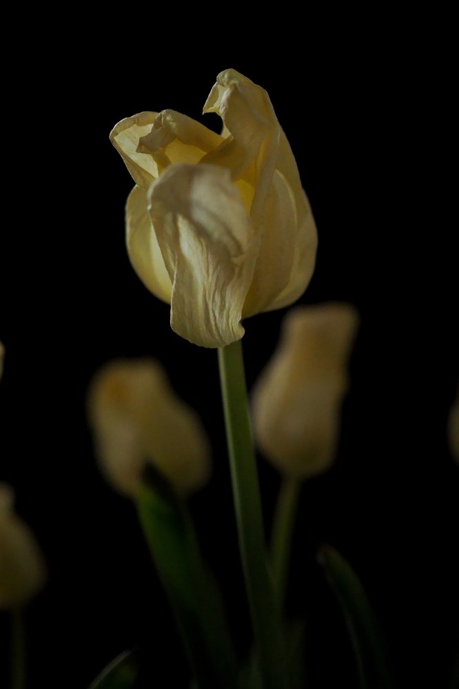 Photograph by Алёна Выбенгер