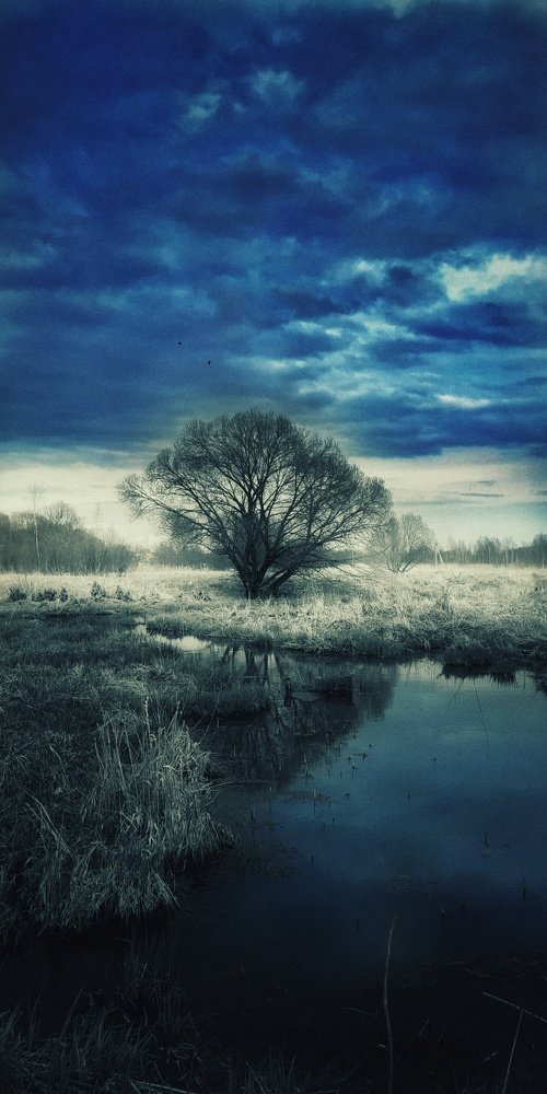 Древо жизни