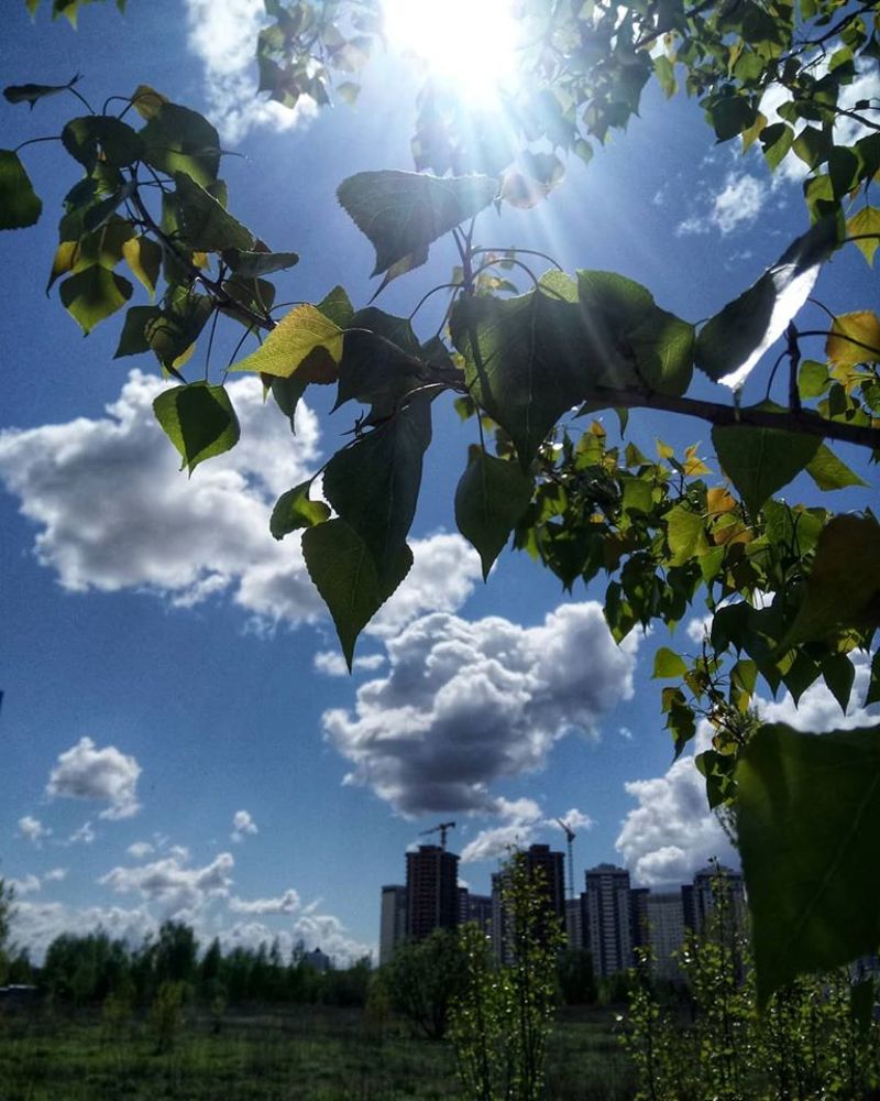 Photograph by Валентина Богдан