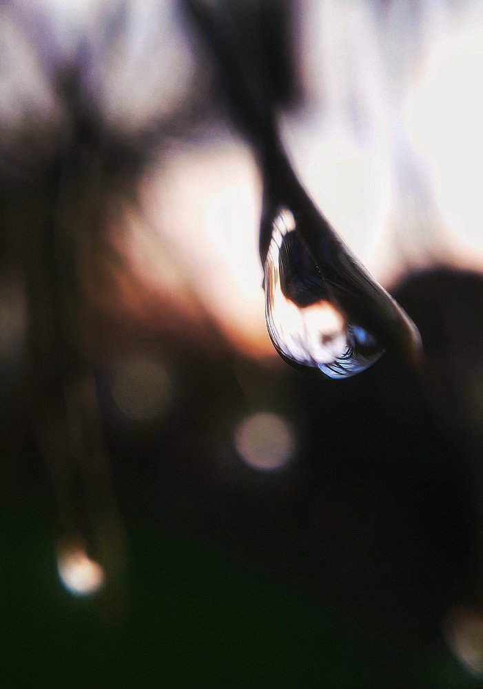 Photograph by Ирина