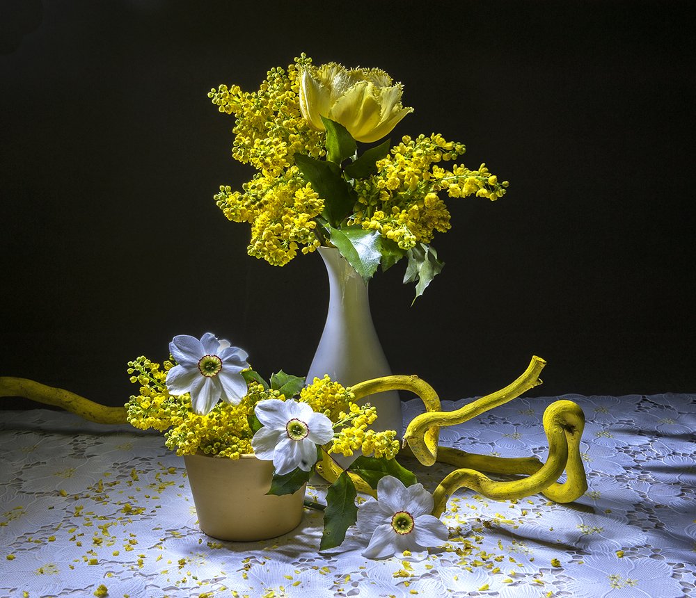 Натюрморт с магонией