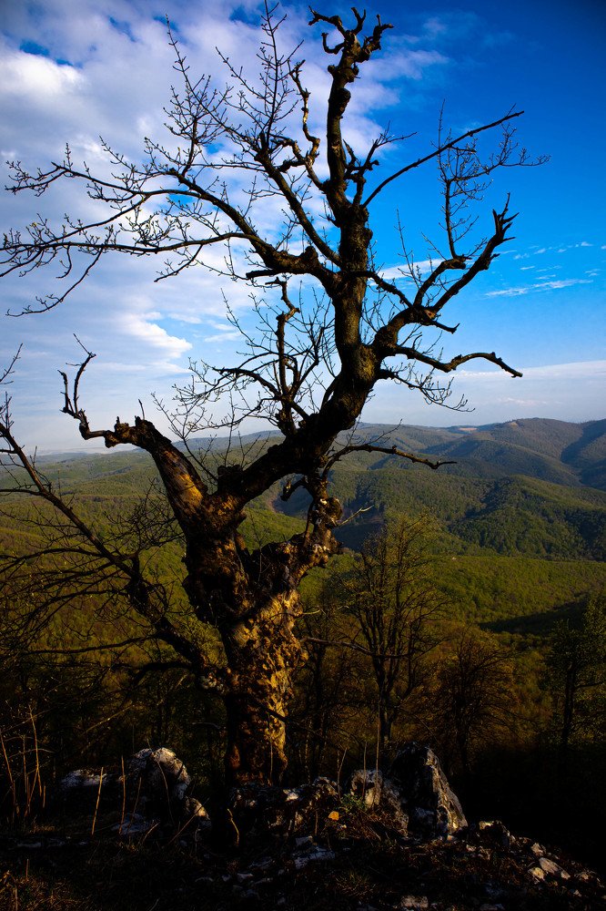 Photograph by Jakub Michálek