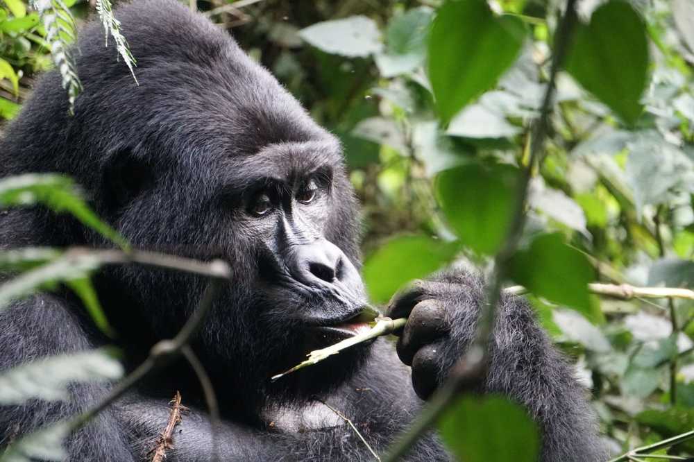 Photograph by Carla willoughby