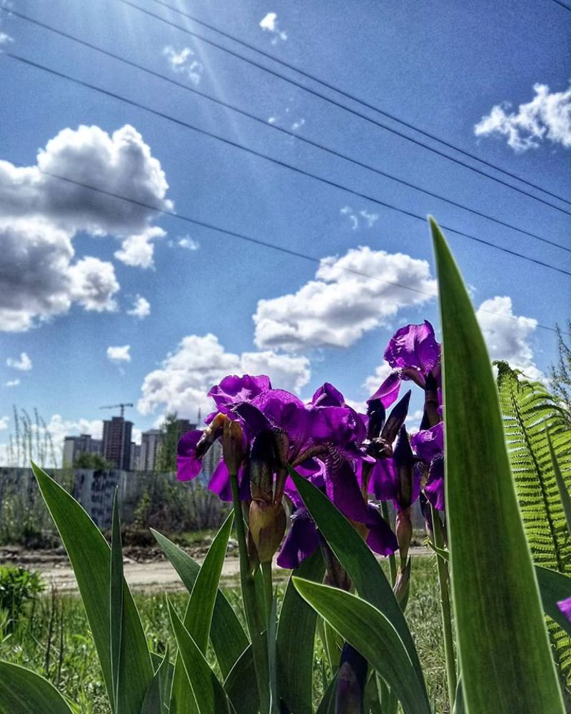 Photograph by Валентина Богдан