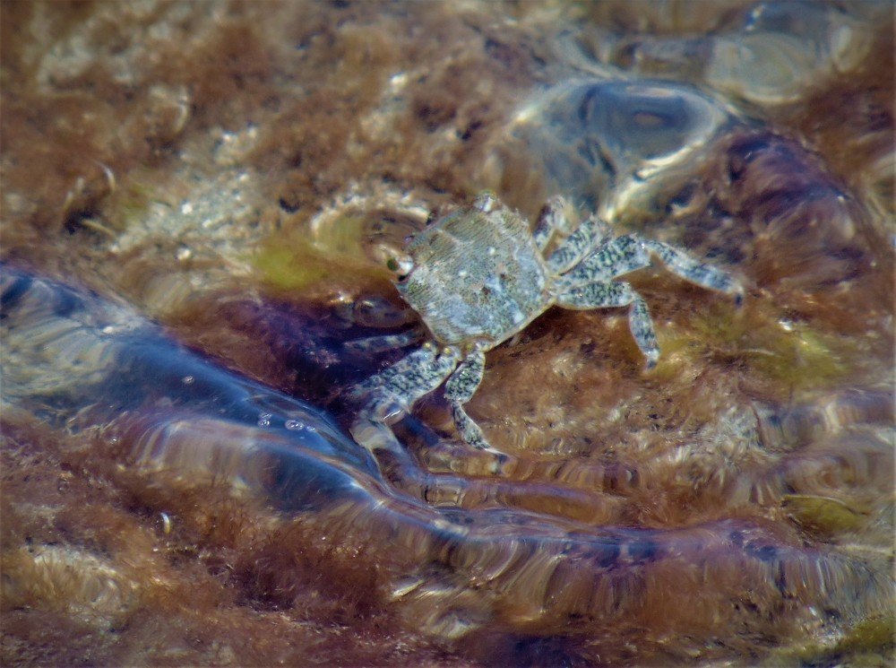 Photograph by Zdravko Ponorac