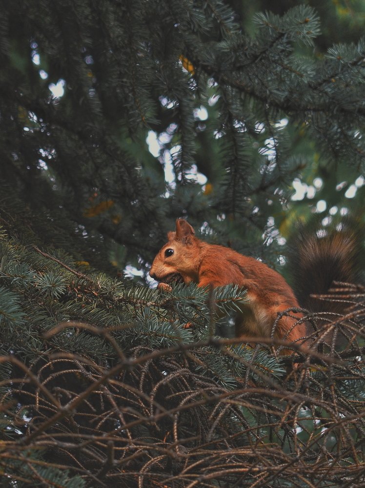 Photograph by Анатолий Жуков