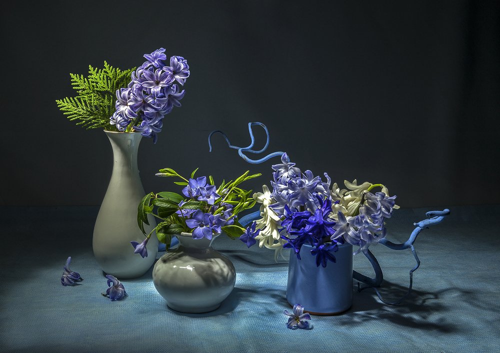 Photograph by Ольга Дядченко