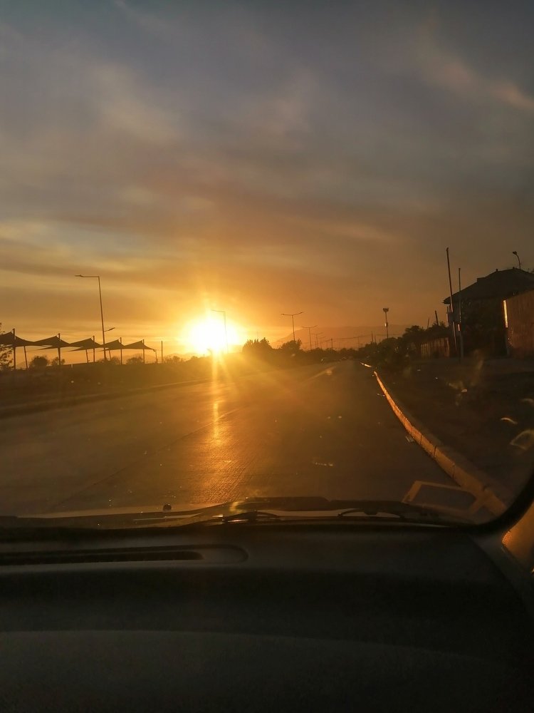 Photo #4585674
