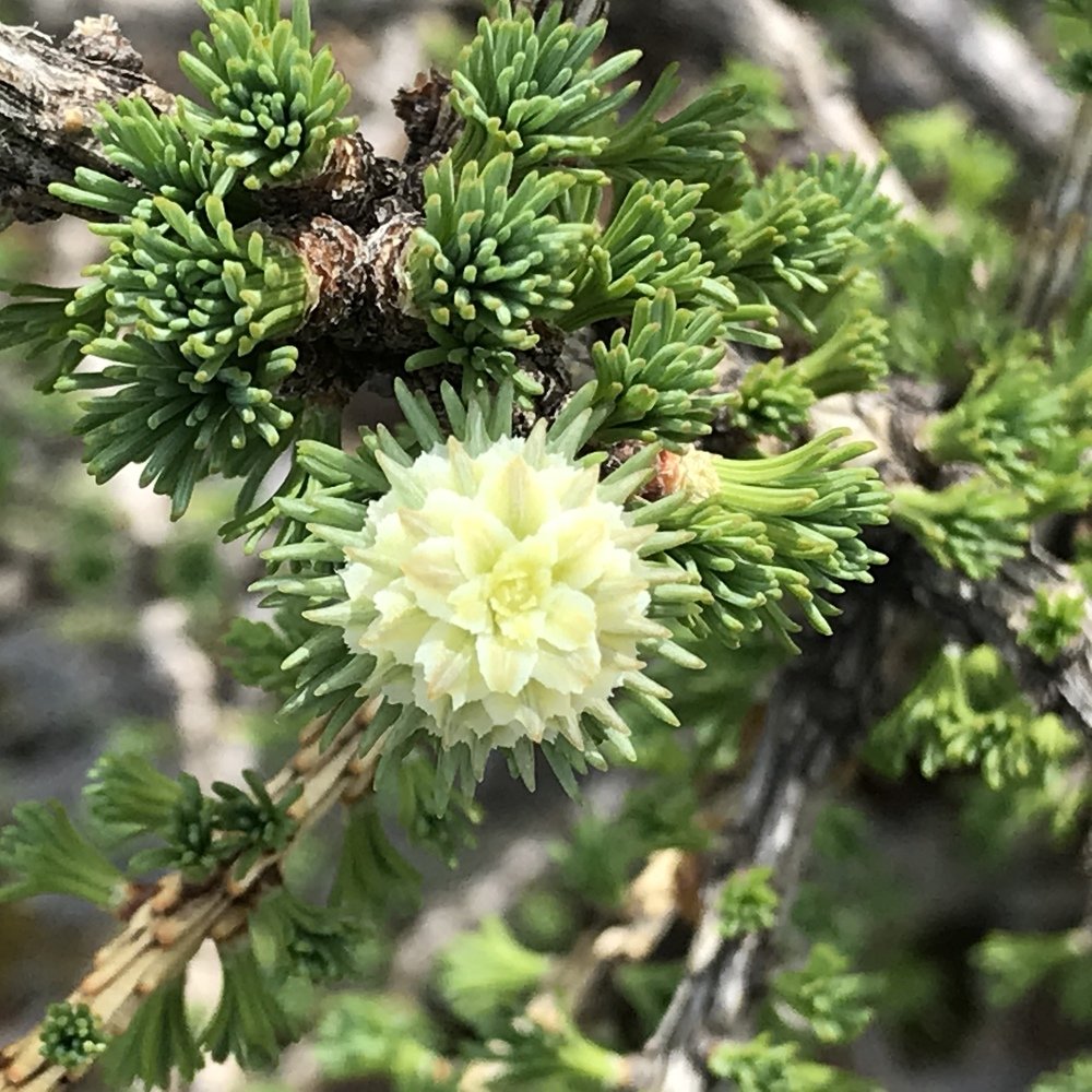 Photograph by Галина