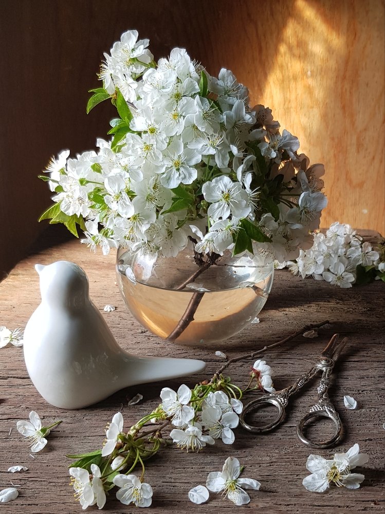 Photograph by Людмила Шатерникова