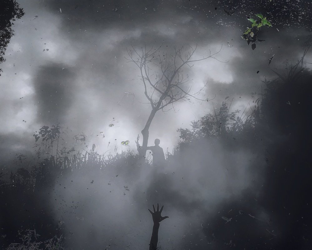 Photograph by Ayaz Karim