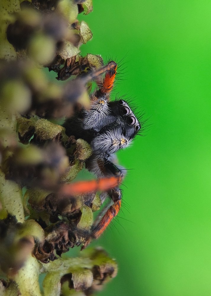 Photograph by Юрьевич Юрий