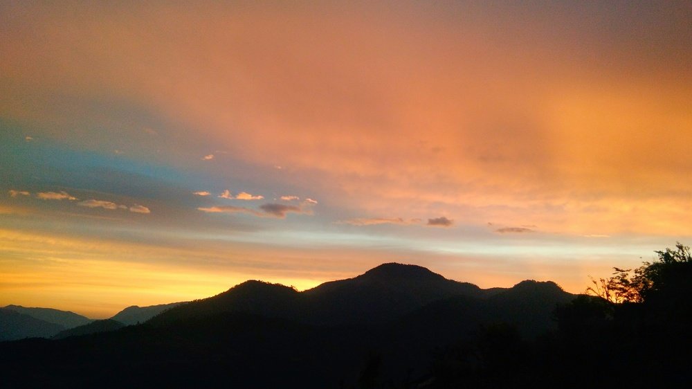 Photo #4586073