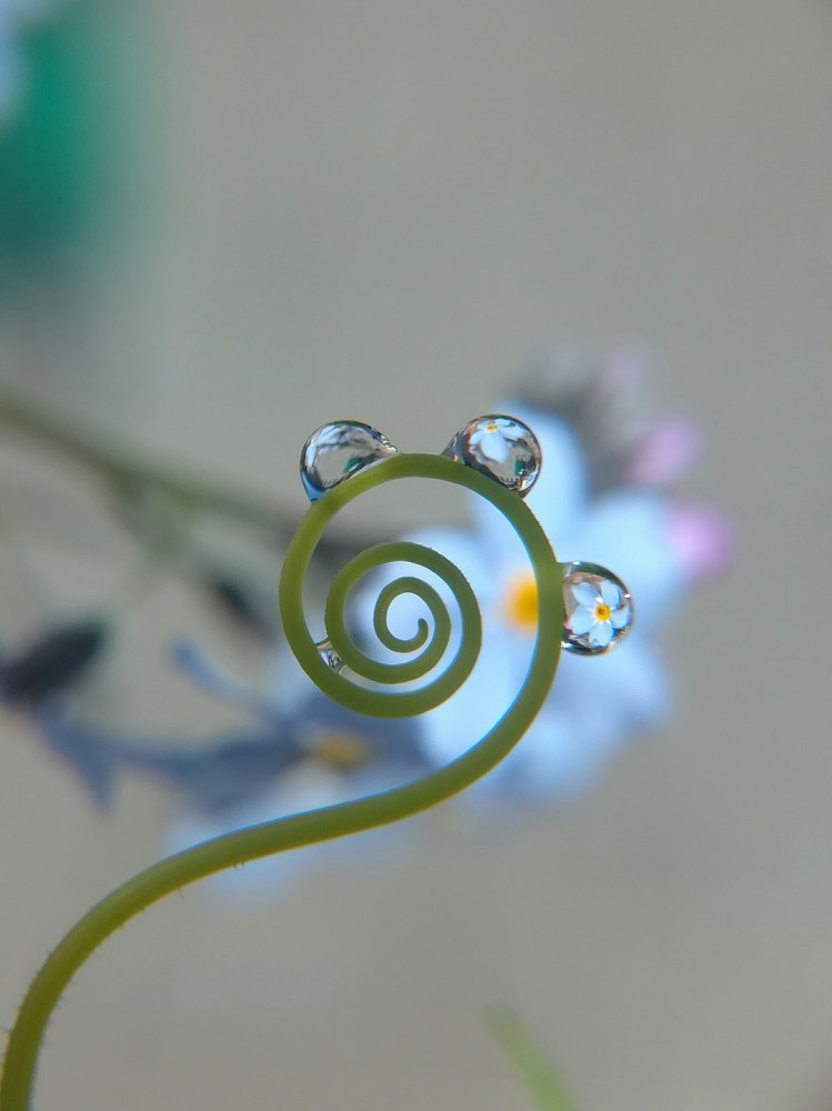 Photograph by Лилия